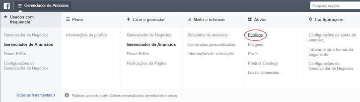 criar-publico-personalizado