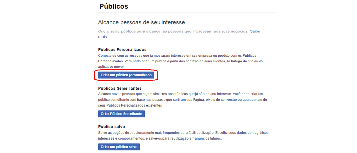 criar-publico-personalizado